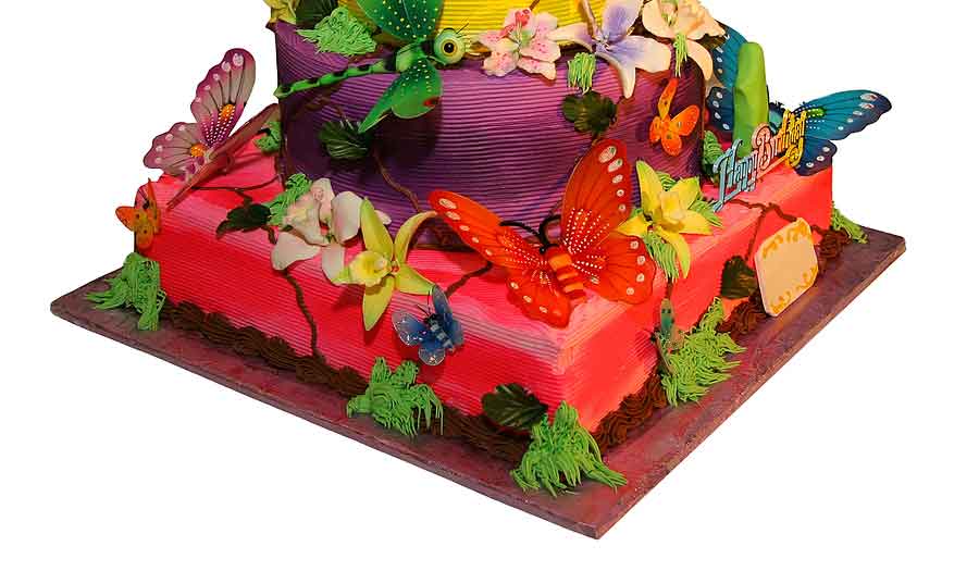 birthday cake using butterfly decorations and other props